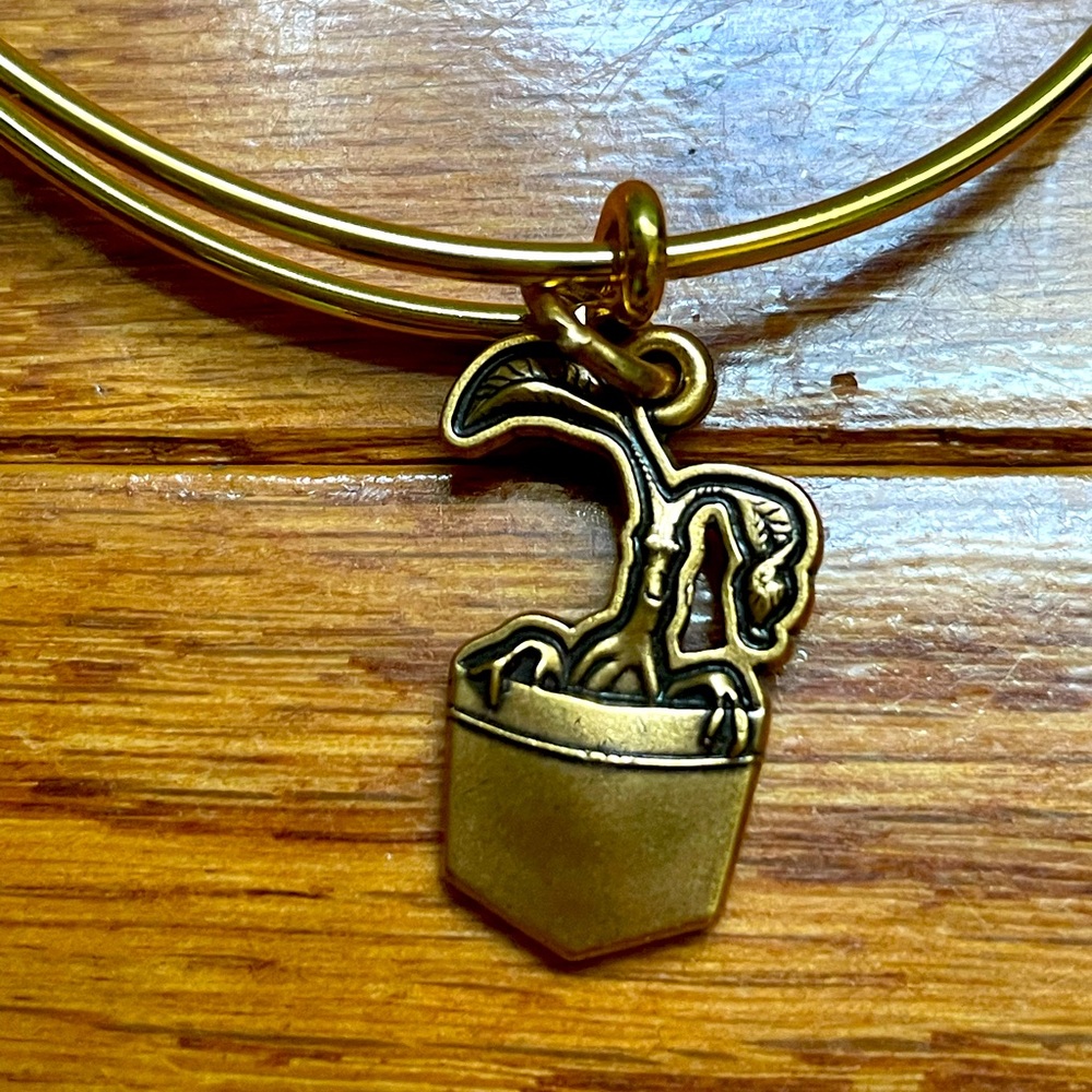 Alex and Ani Fantastic Beasts: The Crimes of Grindelwald Bowtruckle Bracelet-EUC